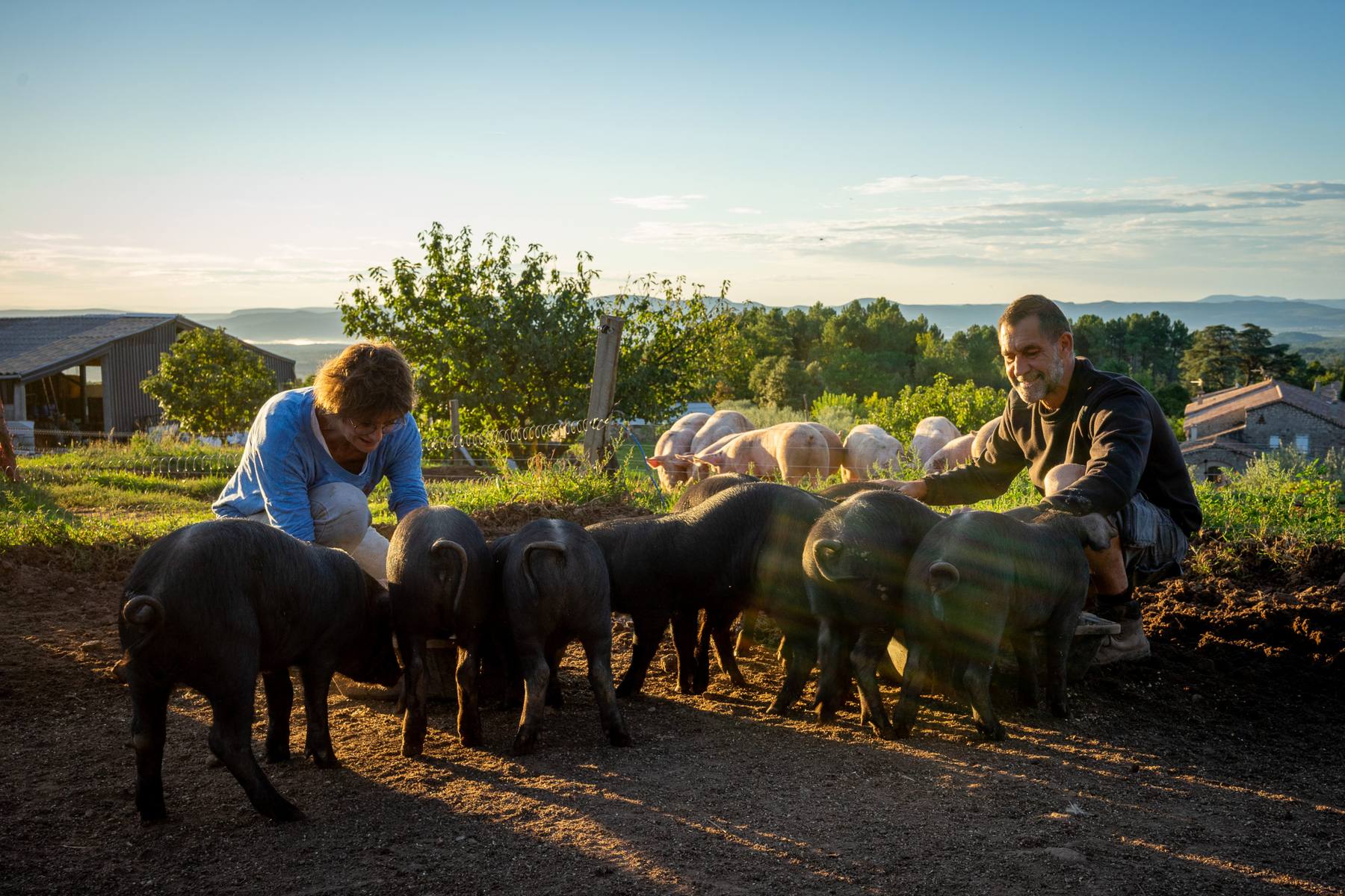 Tania et Emmanuel avec les cochons dans le parc