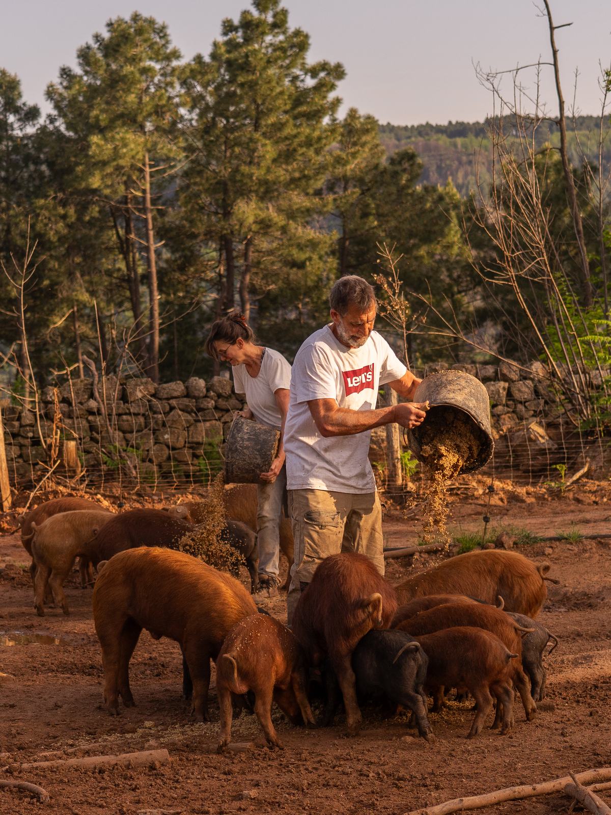 Emmanuel et Tania au nourrissage des cochons